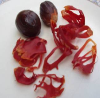 red arils