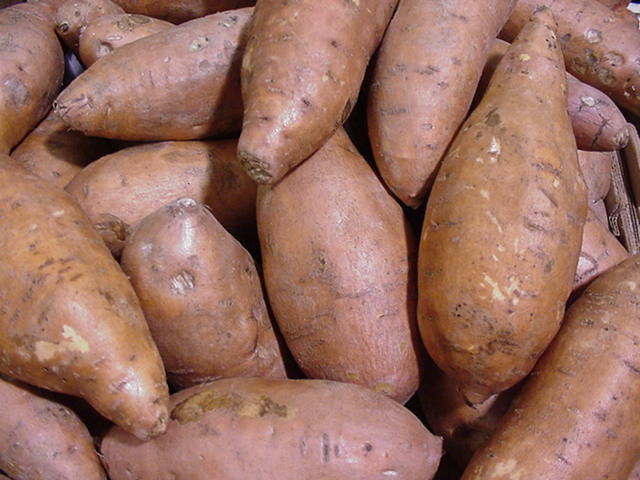 sweetpotato