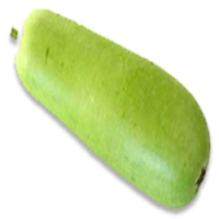 Bottle gourd