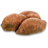 Sweet Potato