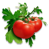 Tomato