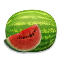 Water Melon