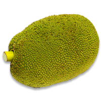 Jackfruit